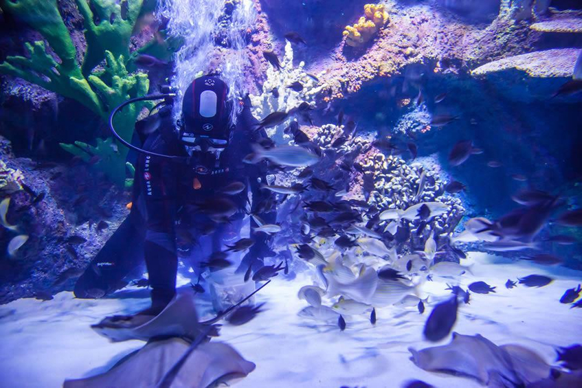 Antalya Aquarium - Akvaryum